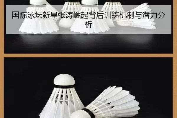 国际泳坛新星张涛崛起背后训练机制与潜力分析